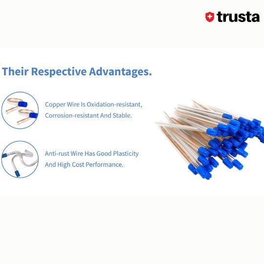 Trusta Saliva Ejector Clear With Removable Blue Tips 100pcs 2380106