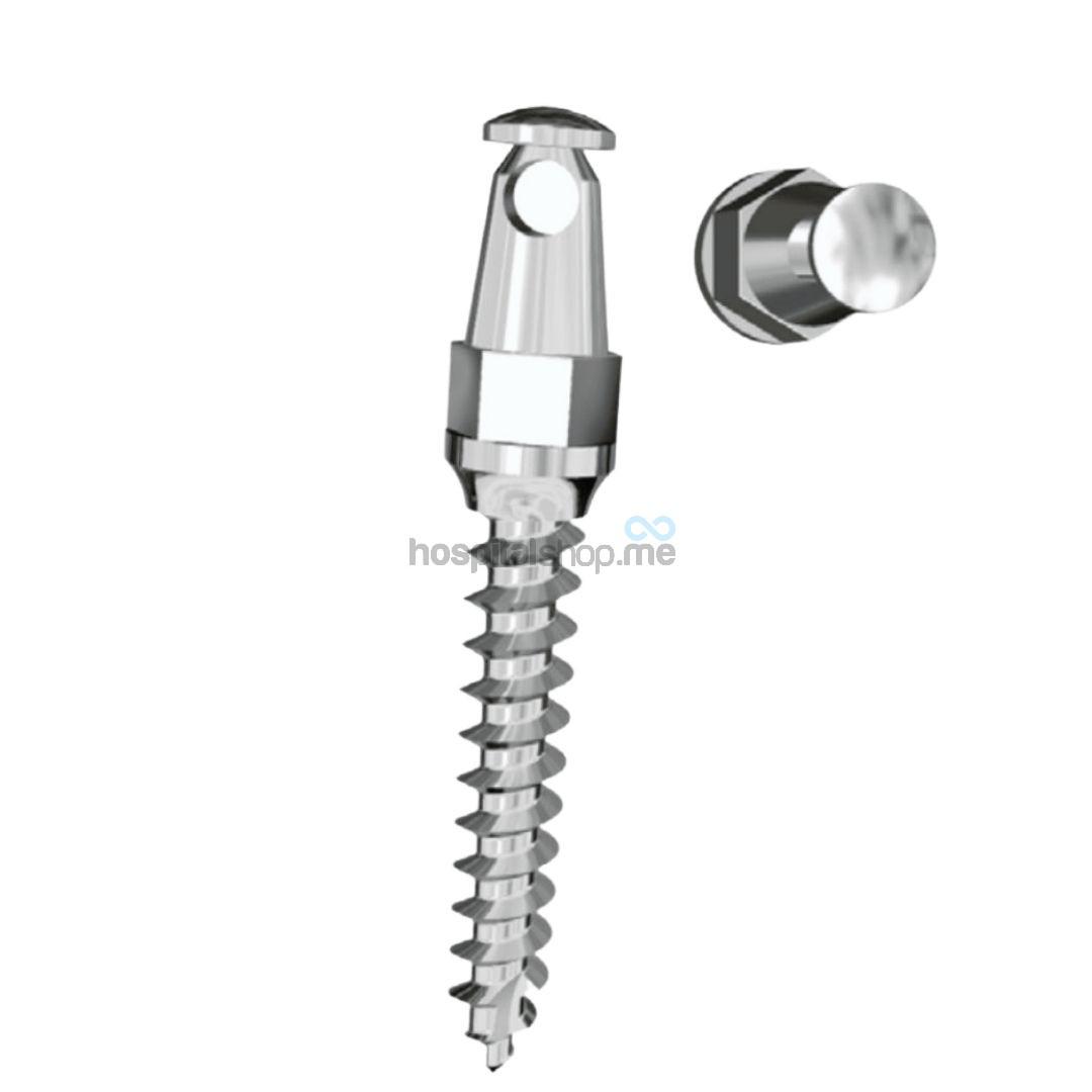 Dentos Mini Implant Long Head 15 Series D 1.5mm L-6mm 2Pcs LH1514-06